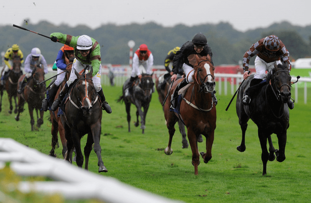 Horse Racing Results Form Free Racecards Ratings Form Results