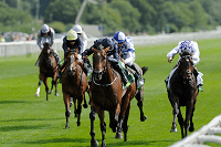 Best Horse Racing Results